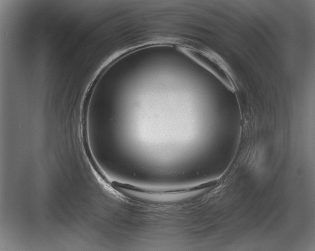X0000084011143200702161155