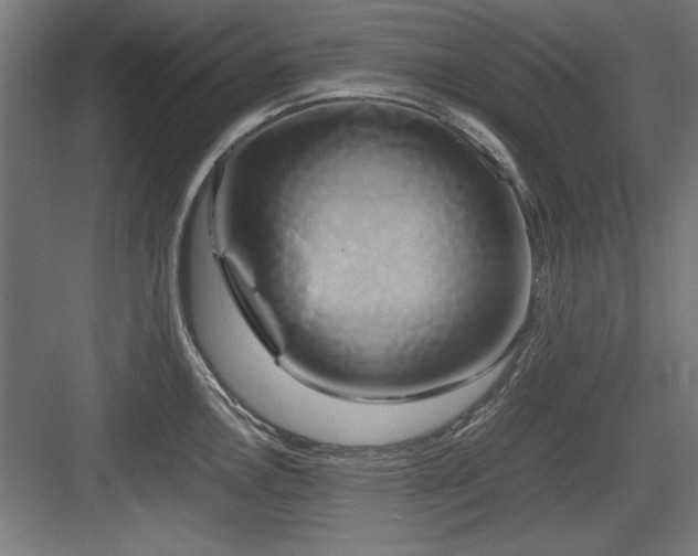X0000084011146200702161155