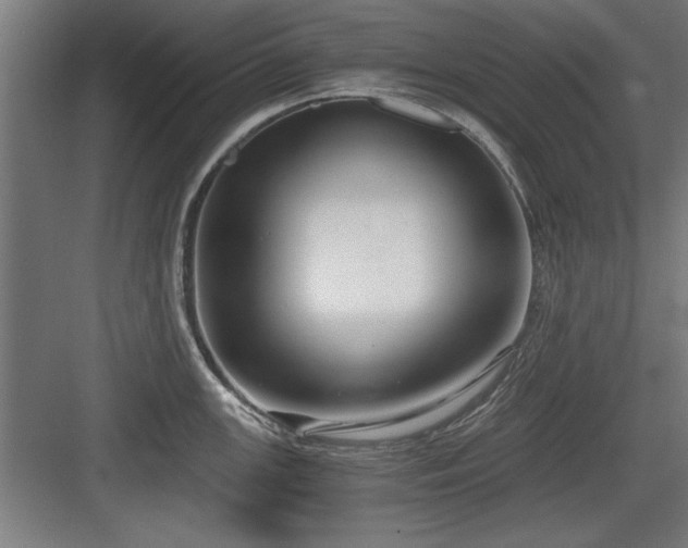 X0000084011147200702161155