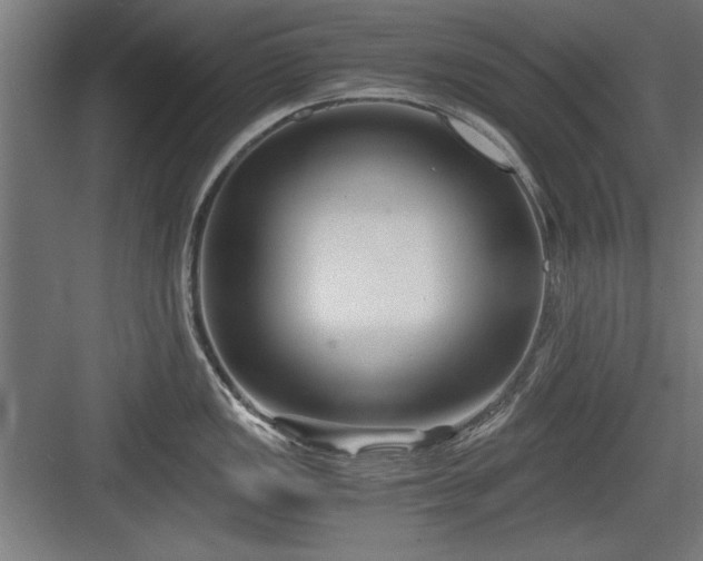X0000084011149200702161155