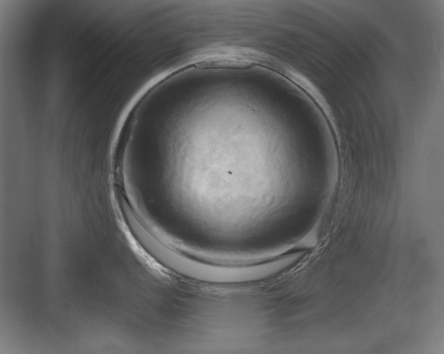 X0000084011152200702161155