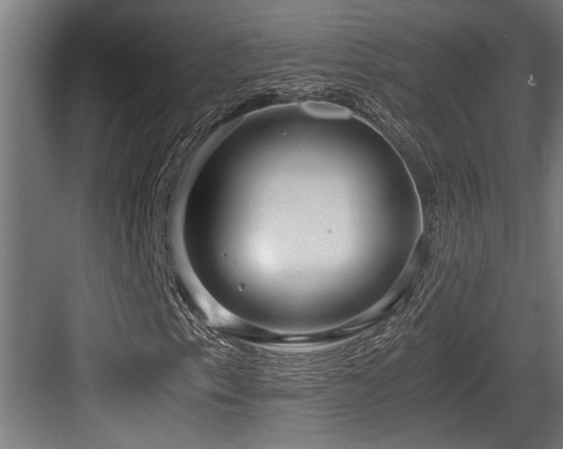 X0000084011153200702161154