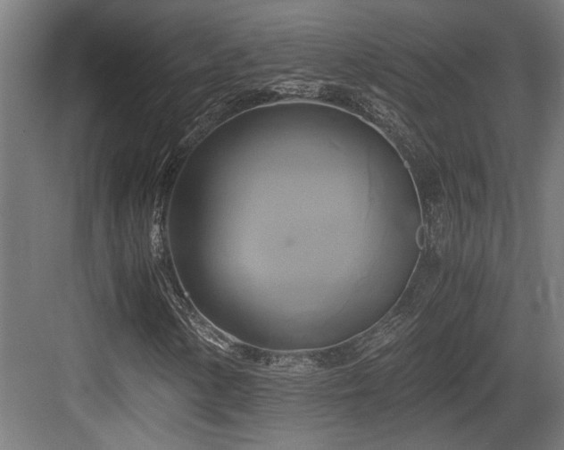 X0000084011154200702161154