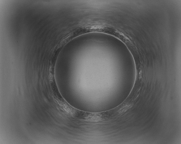 X0000084011156200702161154