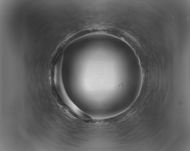 X0000084011160200702161154