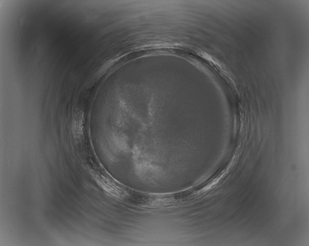 X0000084011161200702161154