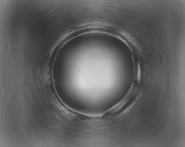 X0000084011164200702161154