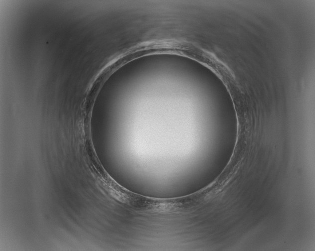 X0000084011166200702161154
