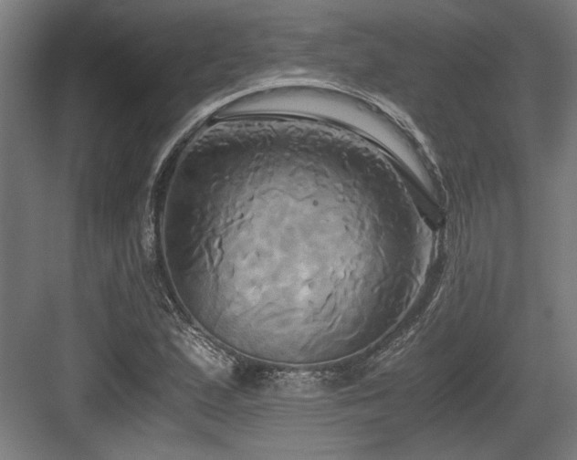 X0000084011167200702161154