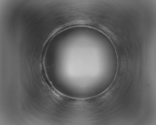 X0000084011170200702161154