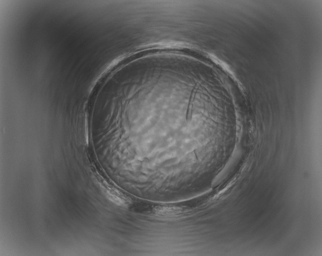 X0000084011171200702161154