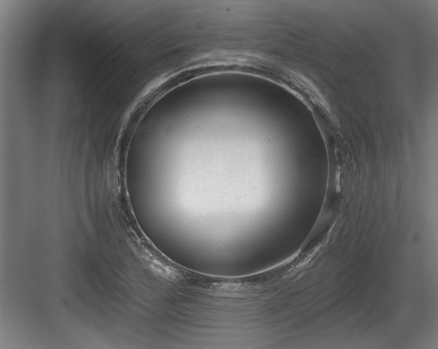 X0000084011172200702161154