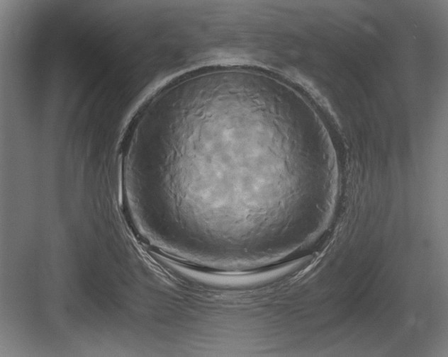 X0000084011175200702161154