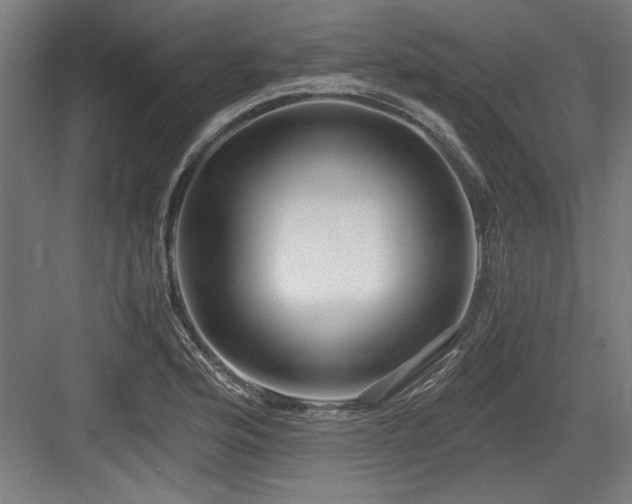 X0000084011176200702161154