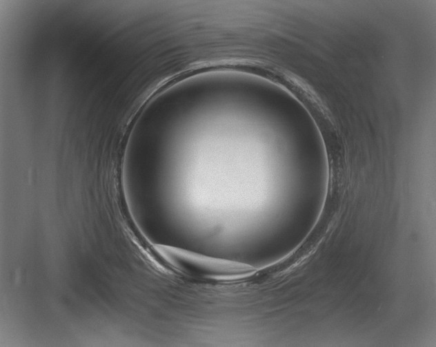 X0000084011177200702161154
