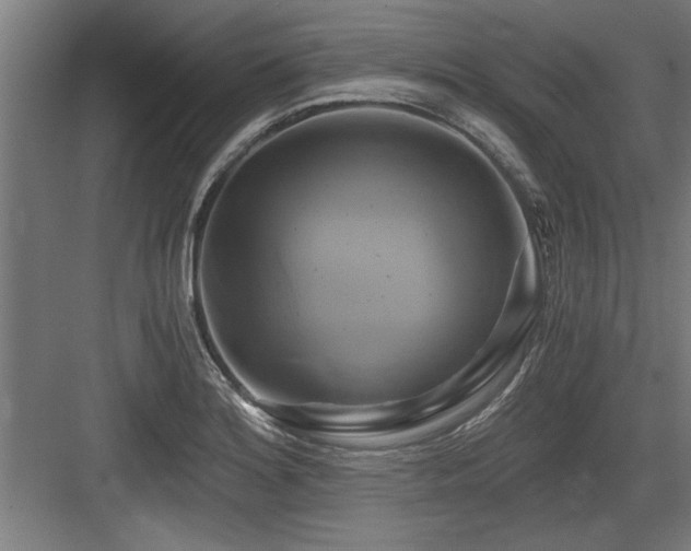 X0000084011180200702161154