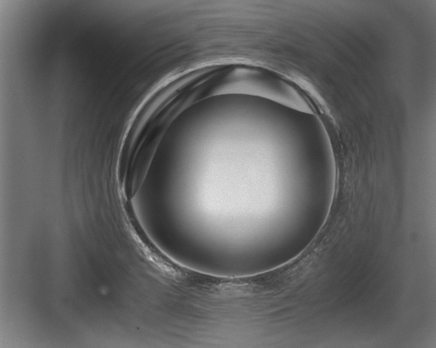 X0000084011181200702161153
