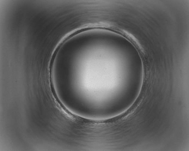 X0000084011184200702161153