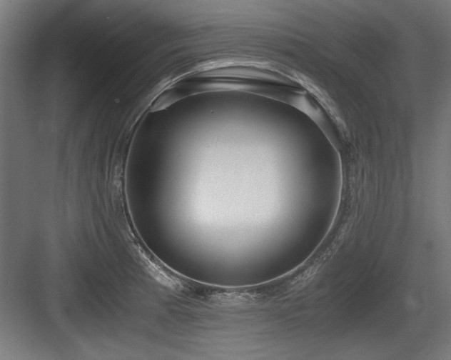 X0000084011185200702161153