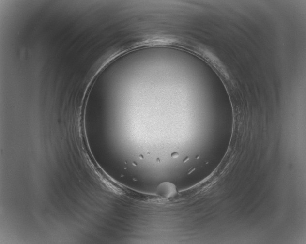 X0000084011186200702161153