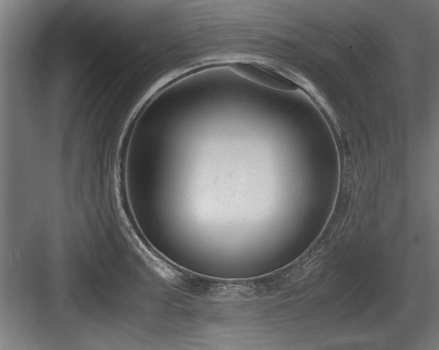 X0000084011187200702161153