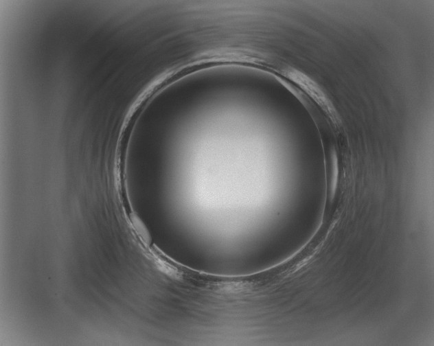 X0000084011188200702161153