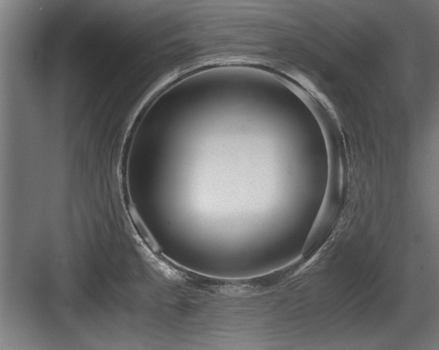 X0000084011189200702161153
