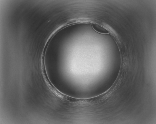 X0000084011190200702161153