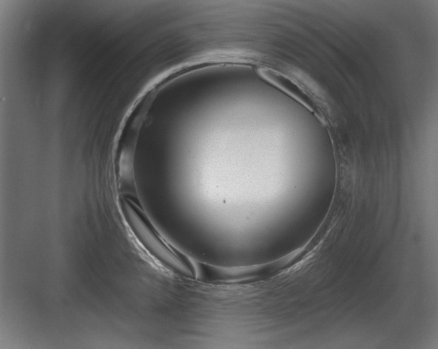 X0000084011192200702161153