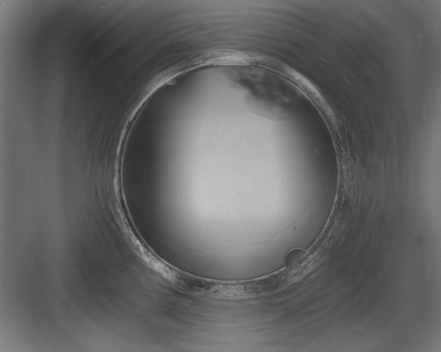 X0000084011194200702161153