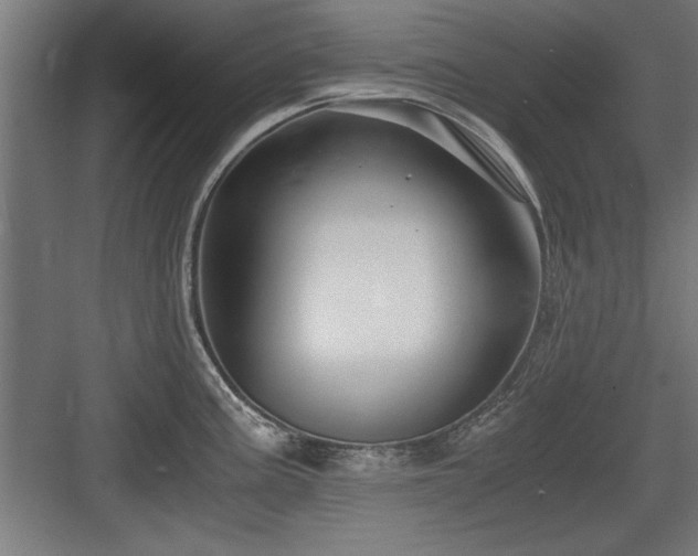 X0000084011195200702161153
