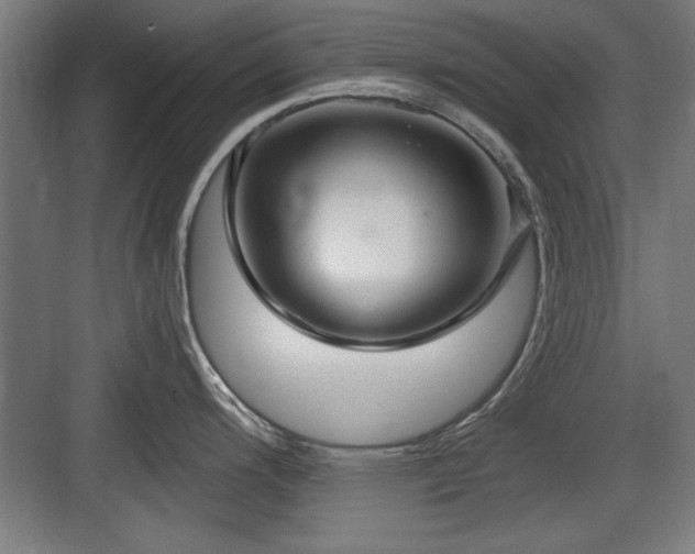 X0000084011200200702161153