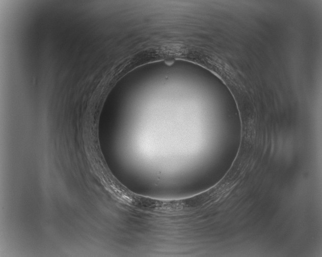 X0000084011201200702161152