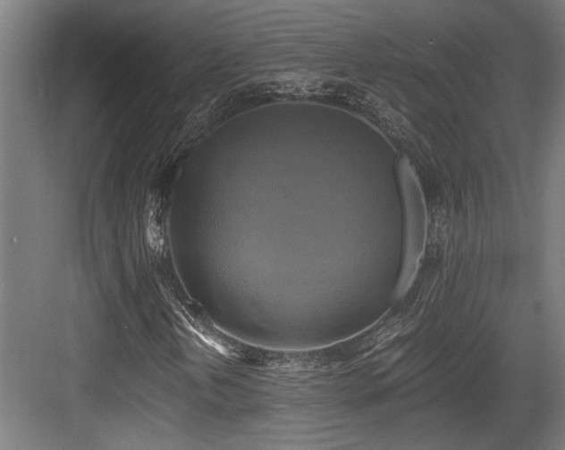 X0000084011202200702161152