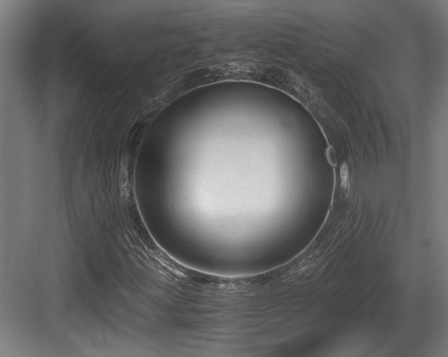 X0000084011203200702161152