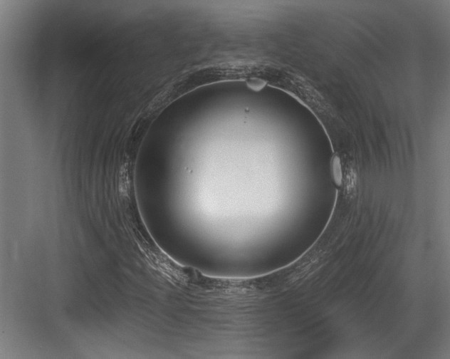 X0000084011204200702161152