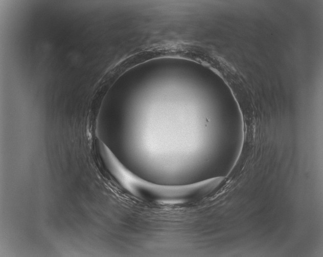 X0000084011206200702161152