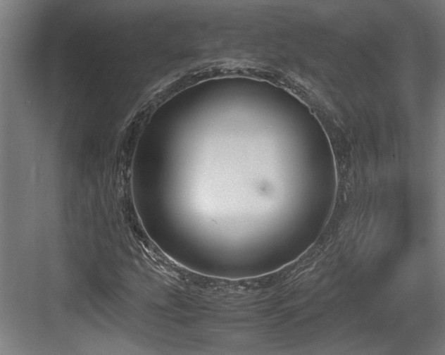 X0000084011207200702161152