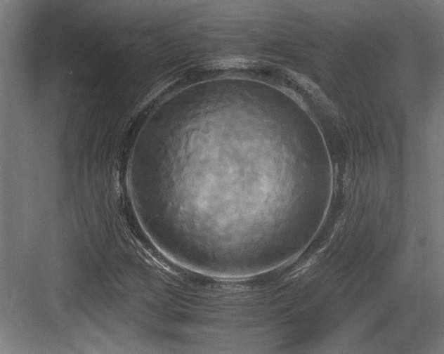 X0000084011209200702161152