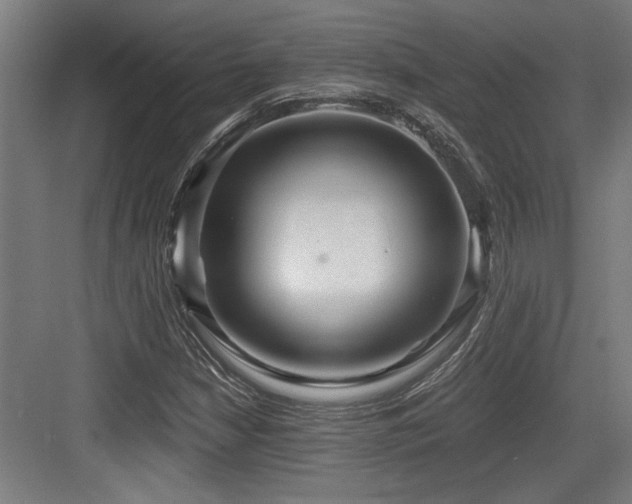 X0000084011210200702161153