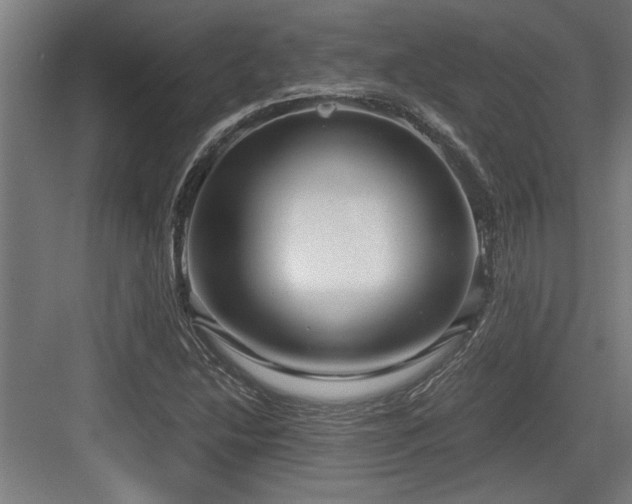 X0000084011214200702161153