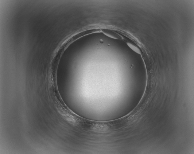 X0000084011215200702161153