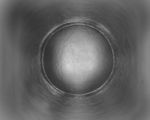 X0000084011216200702161153