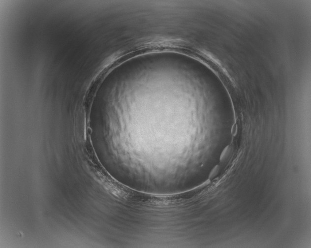 X0000084011219200702161153