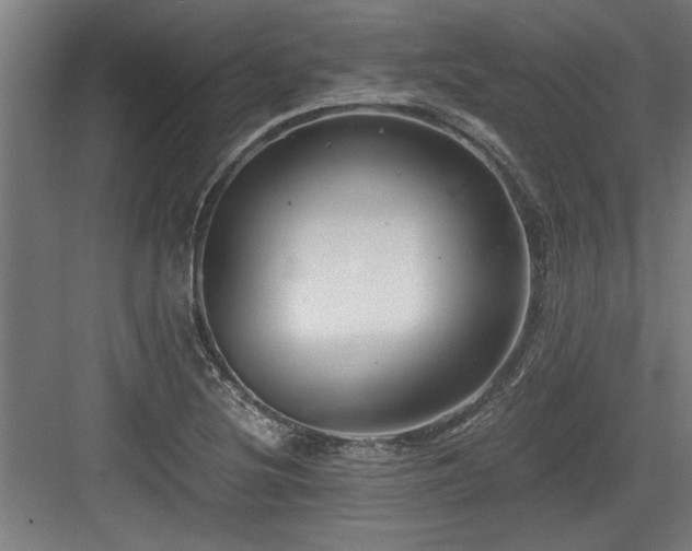 X0000084011220200702161153