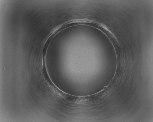 X0000084011221200702161153