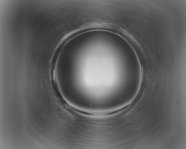 X0000084011222200702161153
