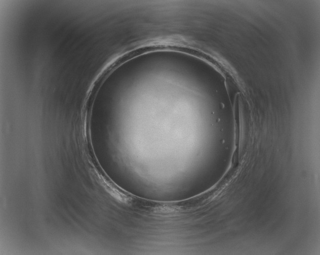 X0000084011224200702161153