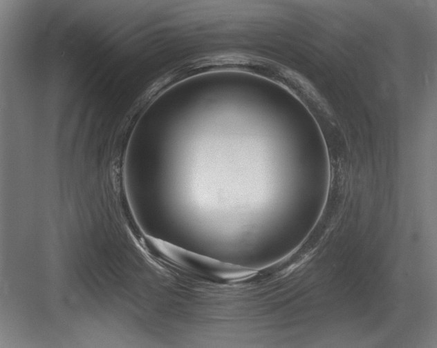 X0000084011225200702161153