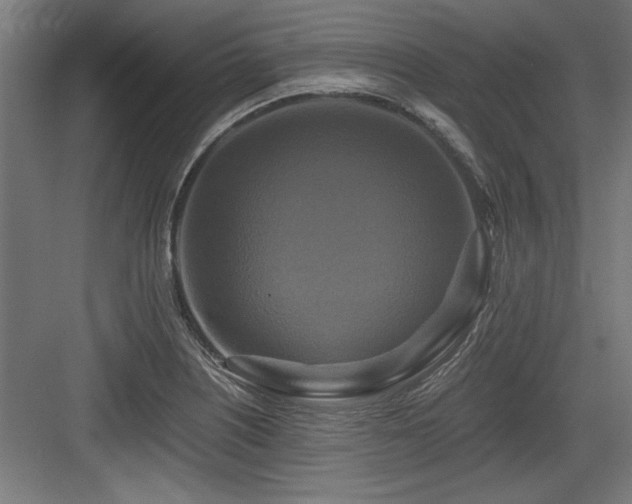 X0000084011226200702161153